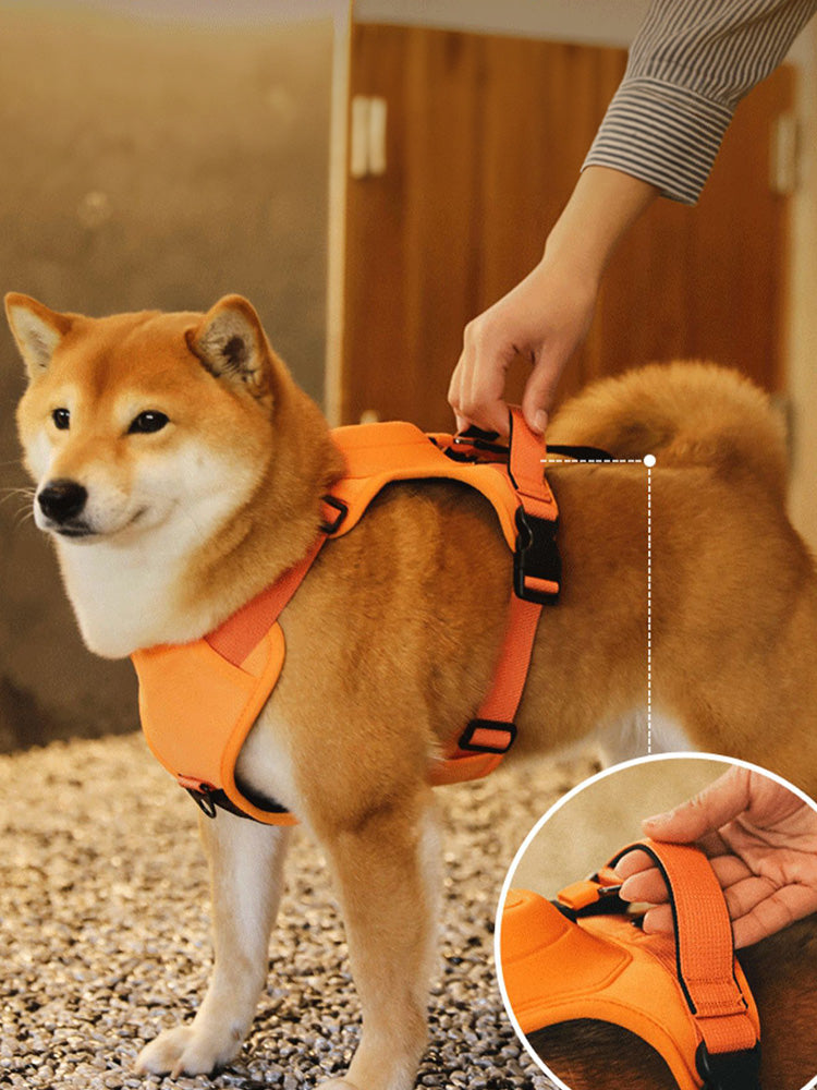 2-in-1 Dog Chest and Back Strap - Convenient and Hands-Free Leash