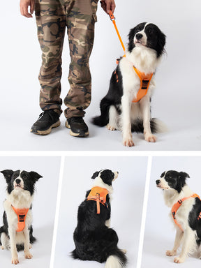 2-in-1 Dog Chest and Back Strap