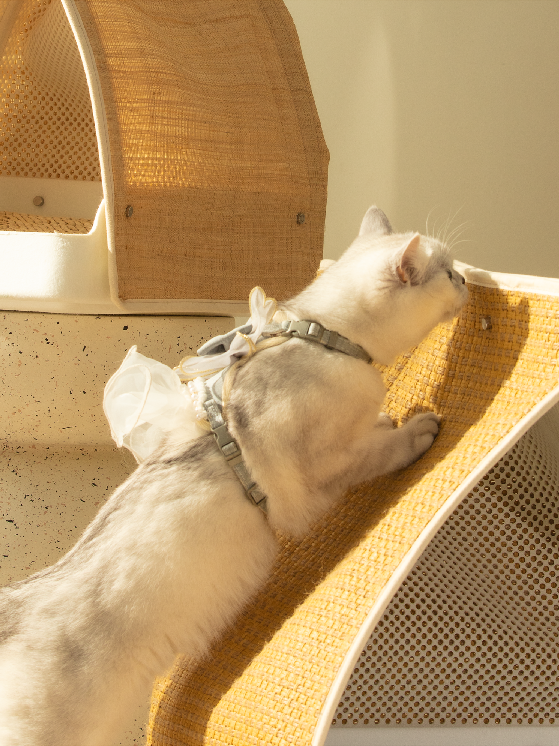 FROHZ Summer Escape Heat Cat Nest