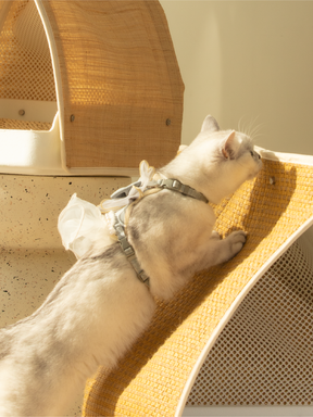 FROHZ Summer Escape Heat Cat Nest