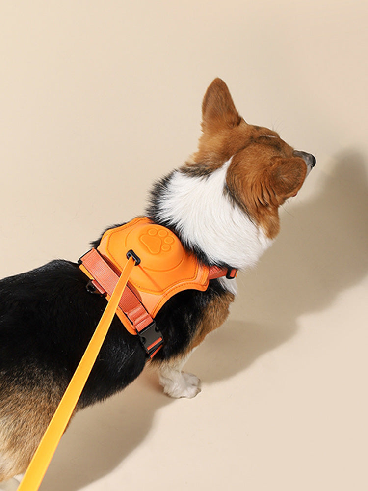 2-in-1 Dog Chest and Back Strap - Convenient and Hands-Free Leash