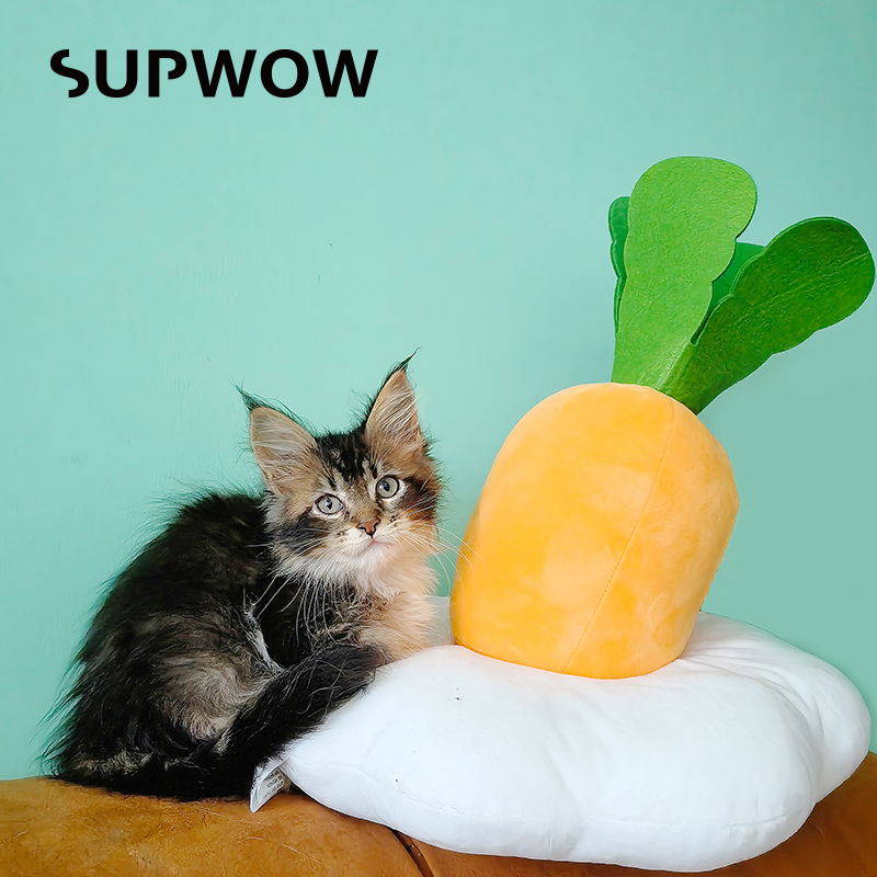 SUPWOW Carrot Design Pet Plush Toy