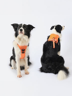 2-in-1 Dog Chest and Back Strap