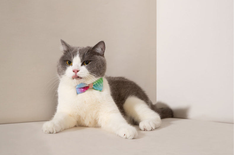 MAOGOUBLUE Cat Bow Tie