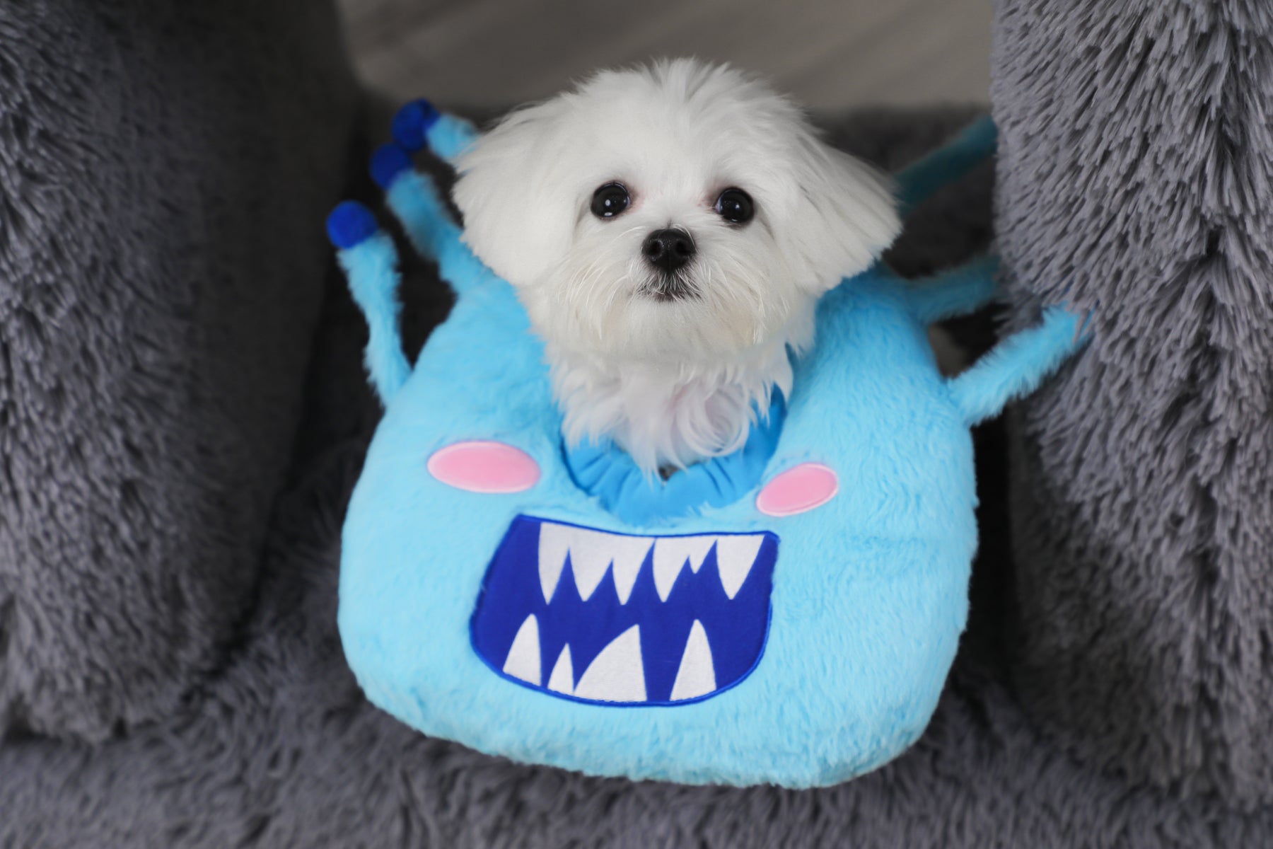 SUPWOW Pet Cone Collar Monster Costume