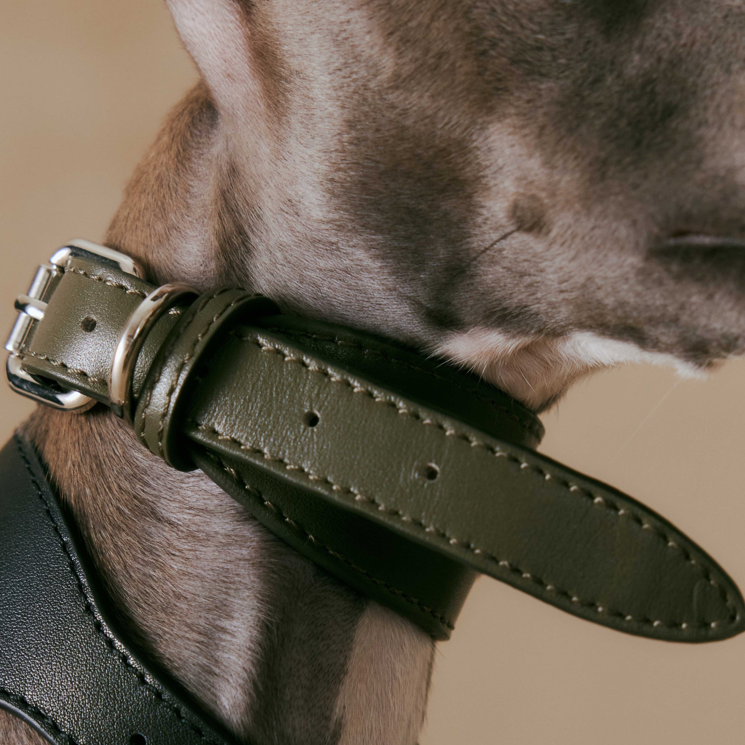 1ER BUD Dog Cowhide Collar