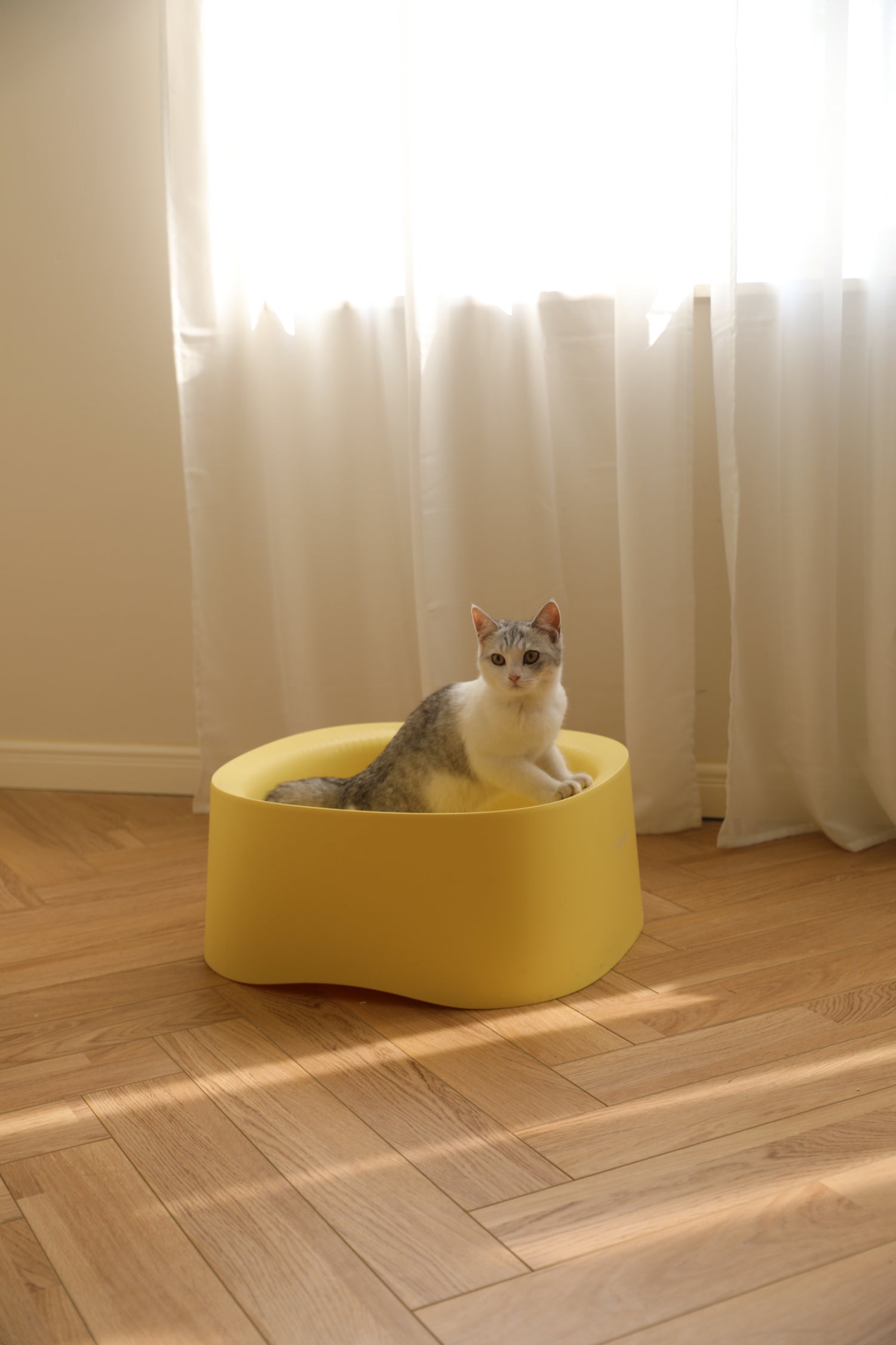 MEOOF Cat Litter Box