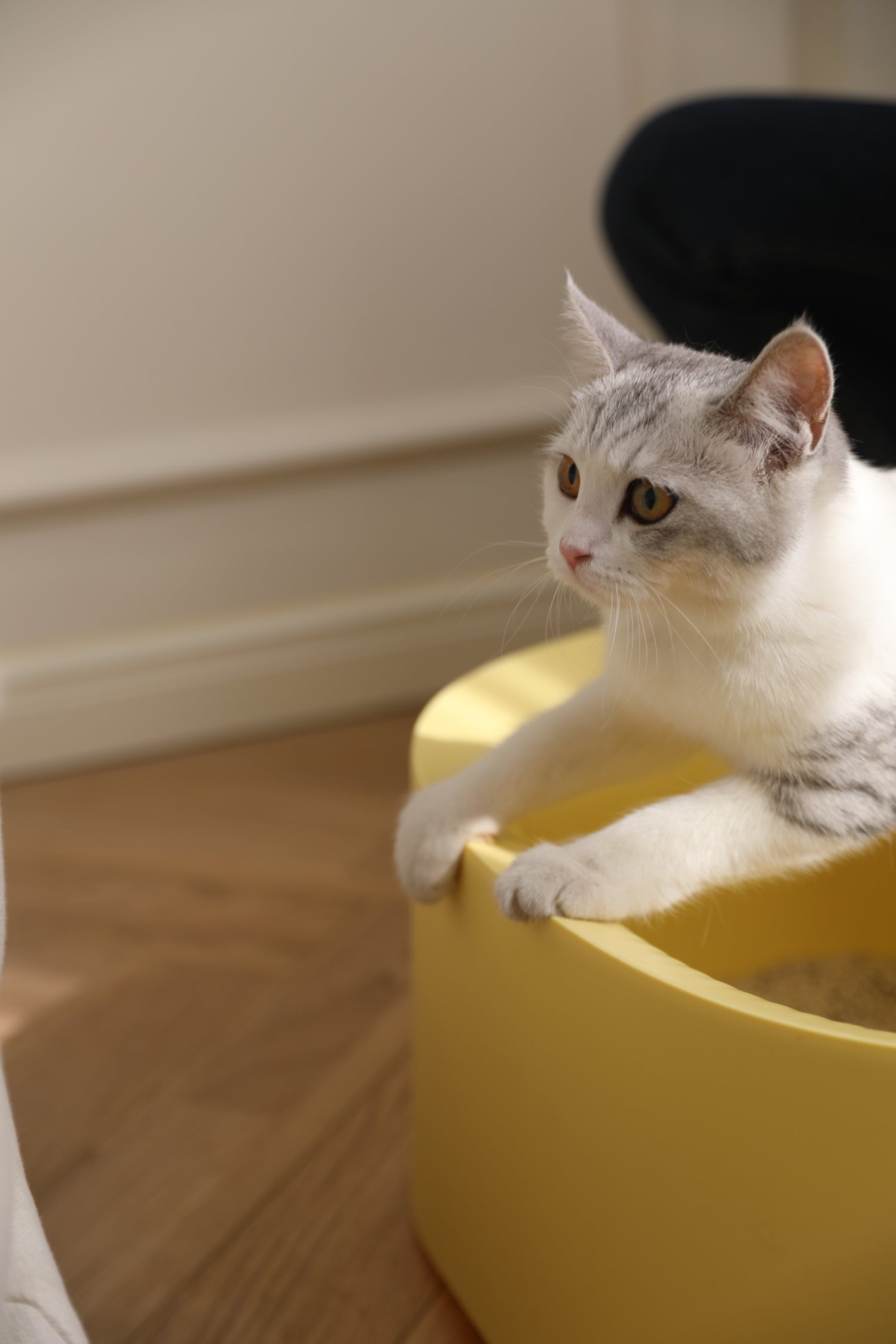 MEOOF Cat Litter Box