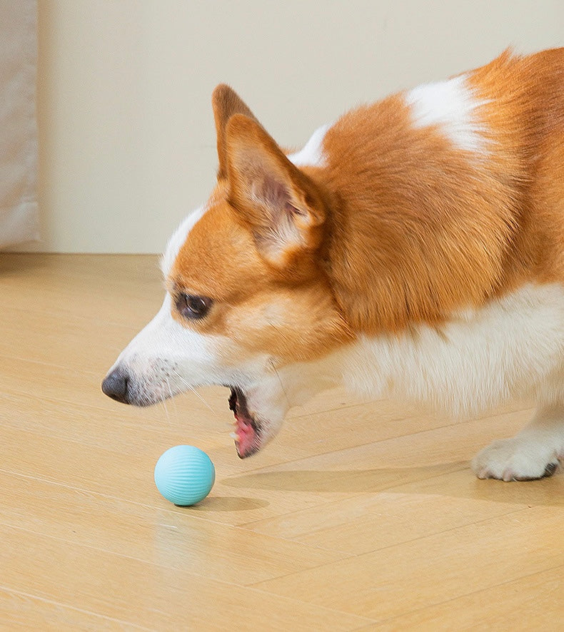 HIPIDOG Smart Interactive Chasing Toy Ball with Built-in LED Light