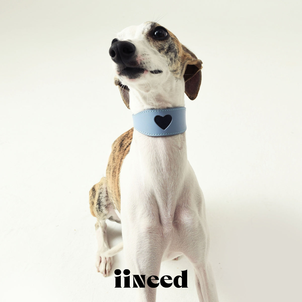 IINEED レザー犬用調節可能な首輪