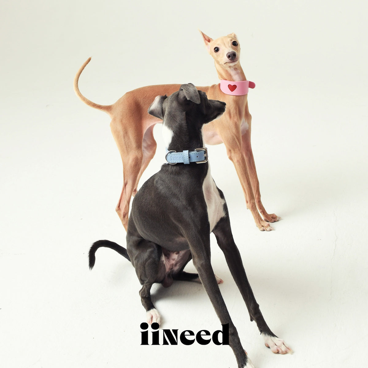 IINEED レザー犬用調節可能な首輪