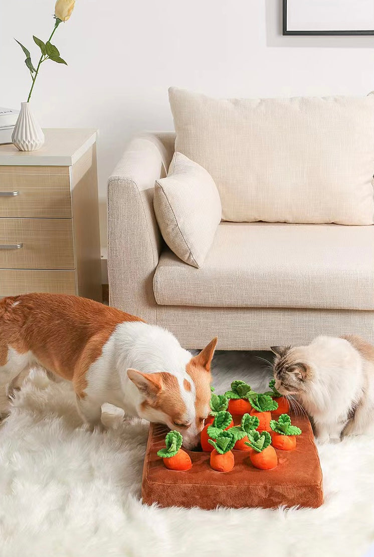 ITEEKE Dog Plush Carrot Toy Mats,Innovative Plush Vegetable Field Pull Radish Plush Carrot Dog Chew Toy