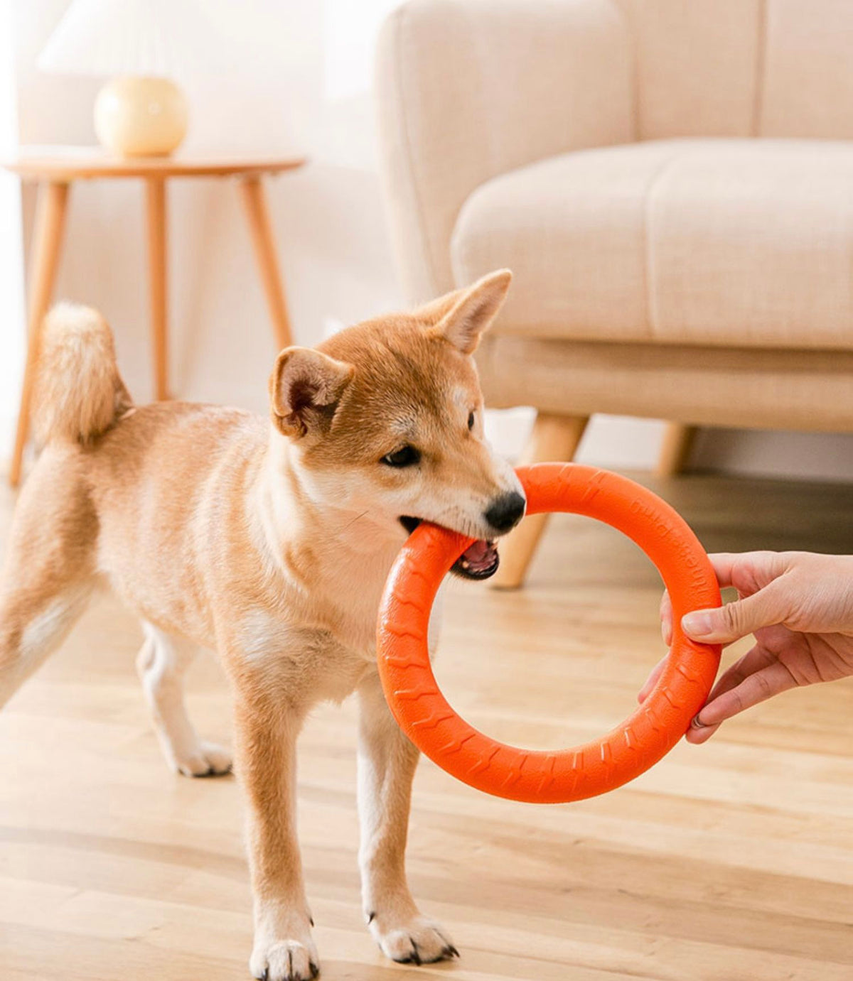 HIPIDOG Dog's Chewing Toy